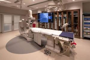 Vital_Heart__Vein_11_original